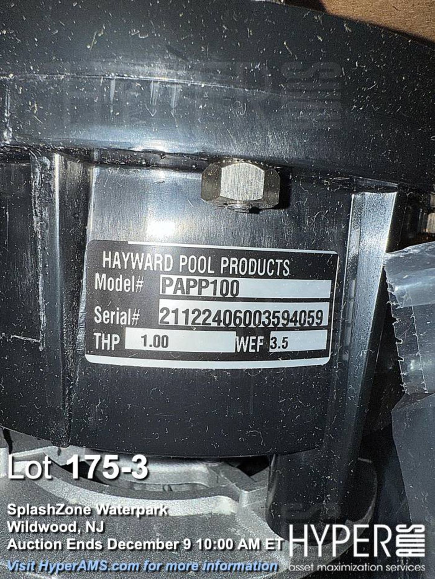 Hayward Pool Pump Motor PAPPP100, 1.0 HP, Serial 21122406003594059 - Image 3 of 3
