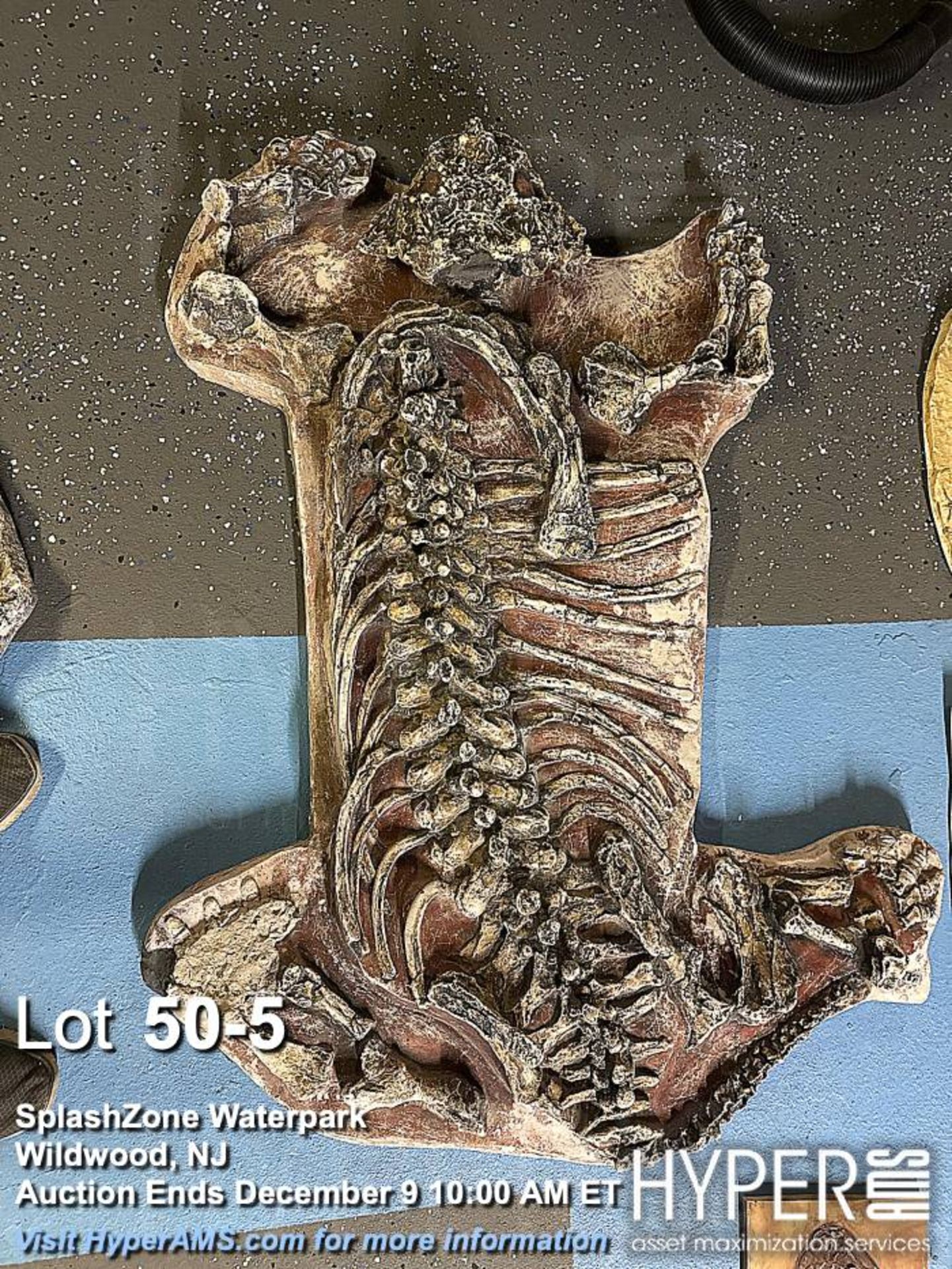 "Dino-Dig" dinosaur bone excavation attraction - Image 5 of 16