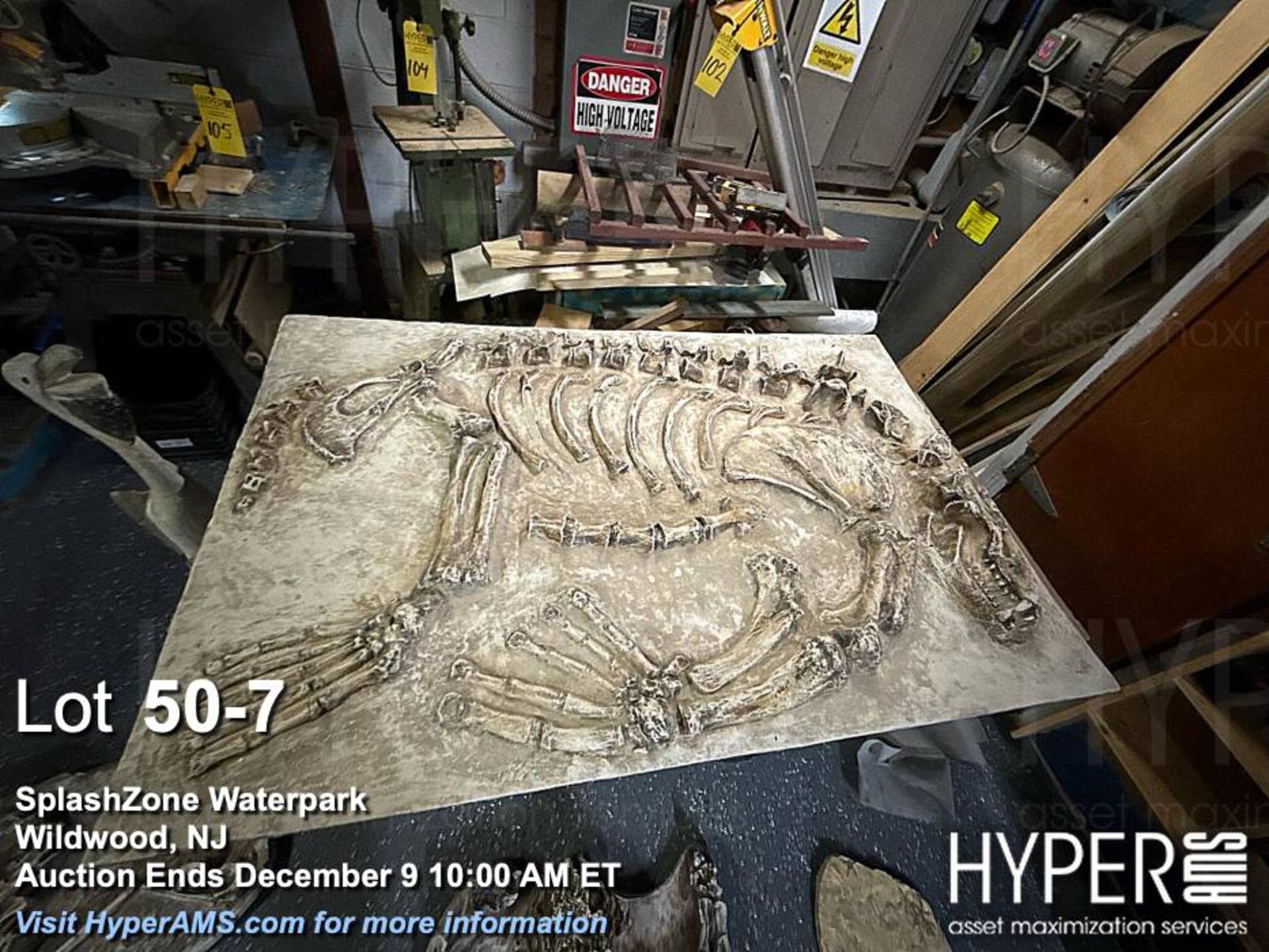 "Dino-Dig" dinosaur bone excavation attraction - Image 7 of 16