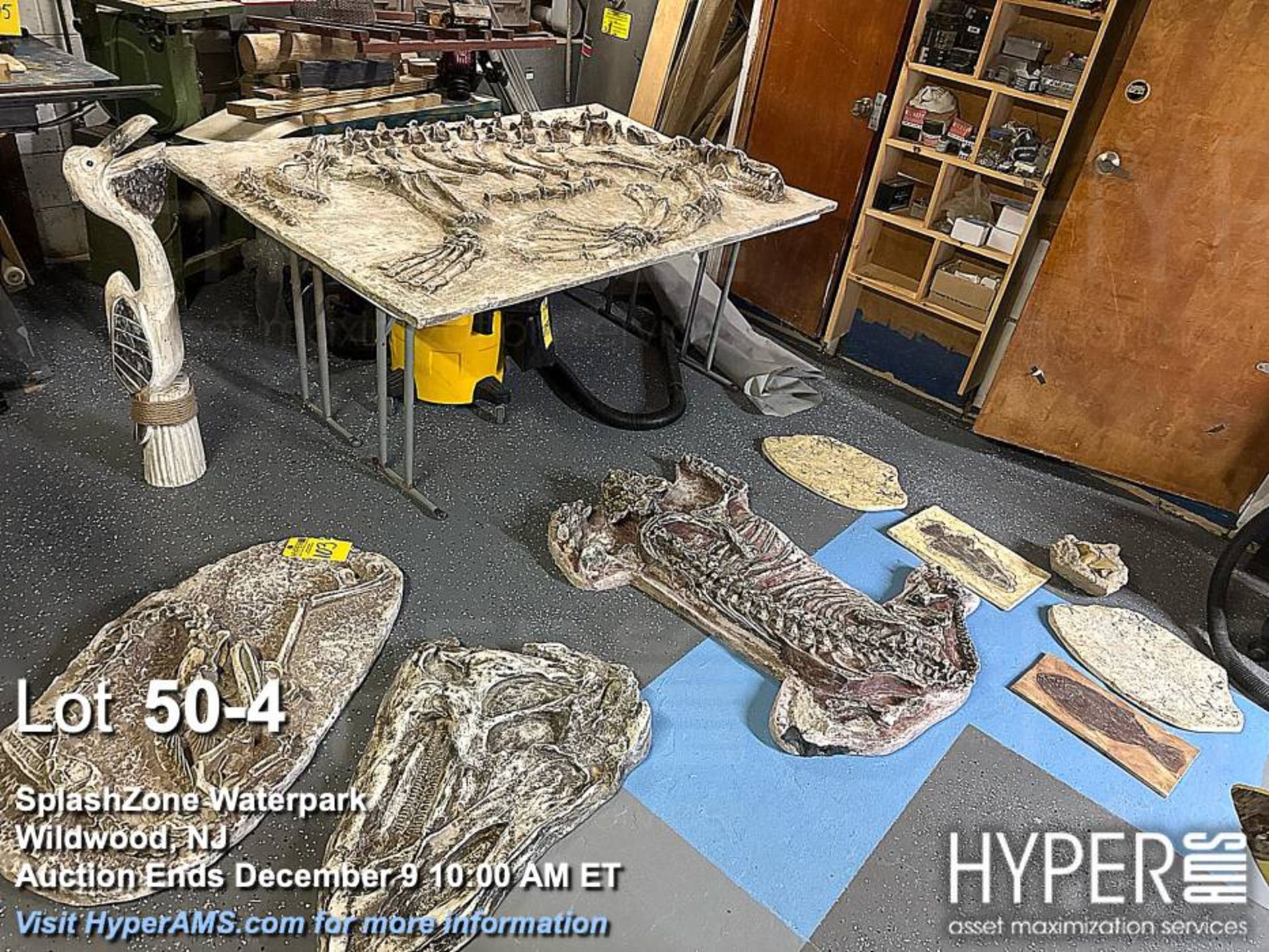 "Dino-Dig" dinosaur bone excavation attraction - Image 4 of 16