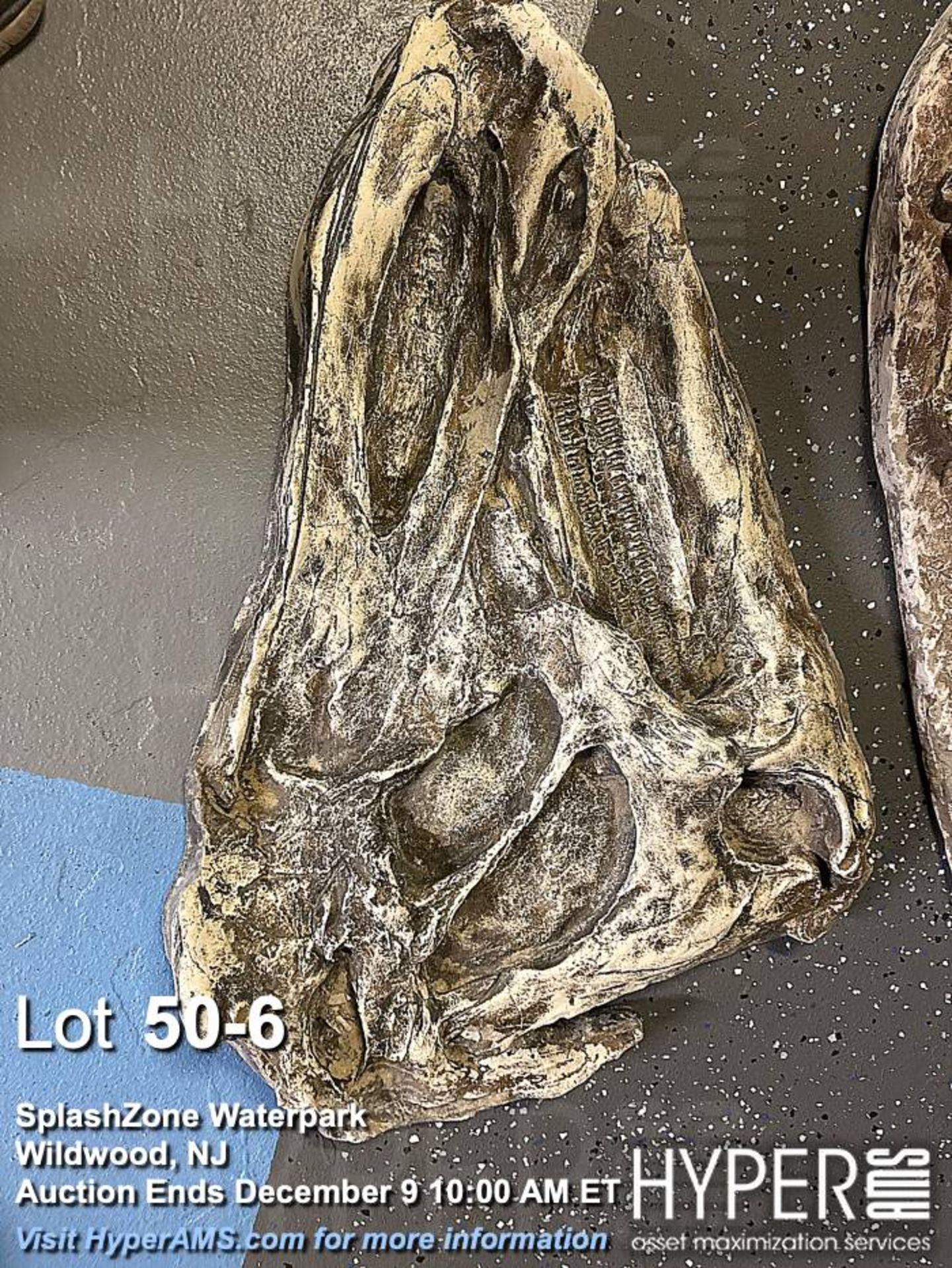 "Dino-Dig" dinosaur bone excavation attraction - Image 6 of 16