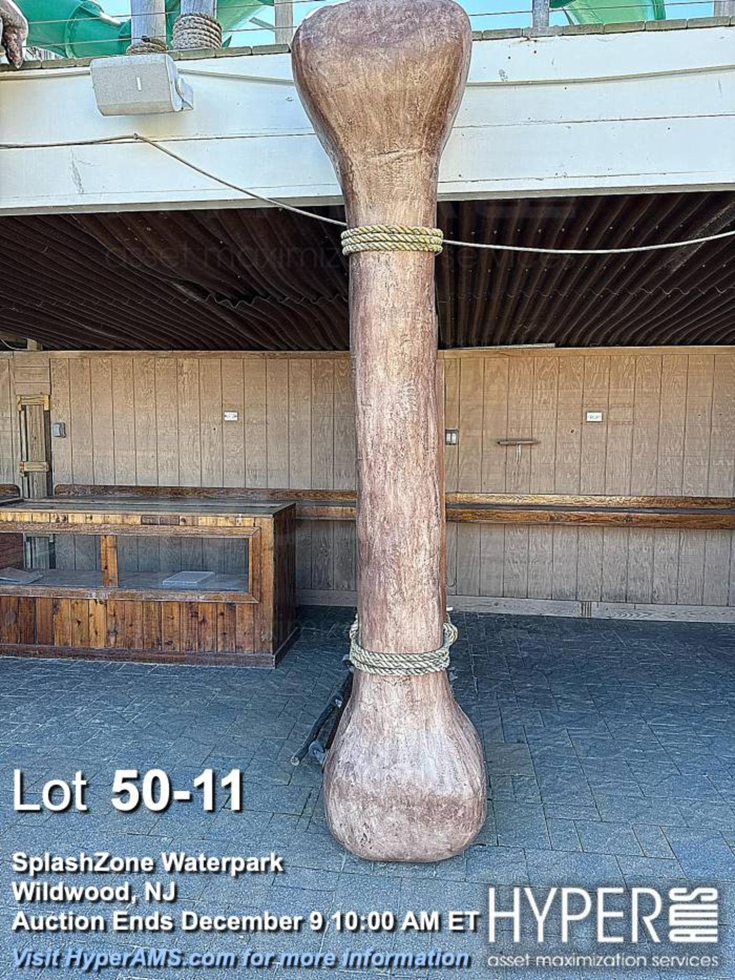 "Dino-Dig" dinosaur bone excavation attraction - Image 11 of 16