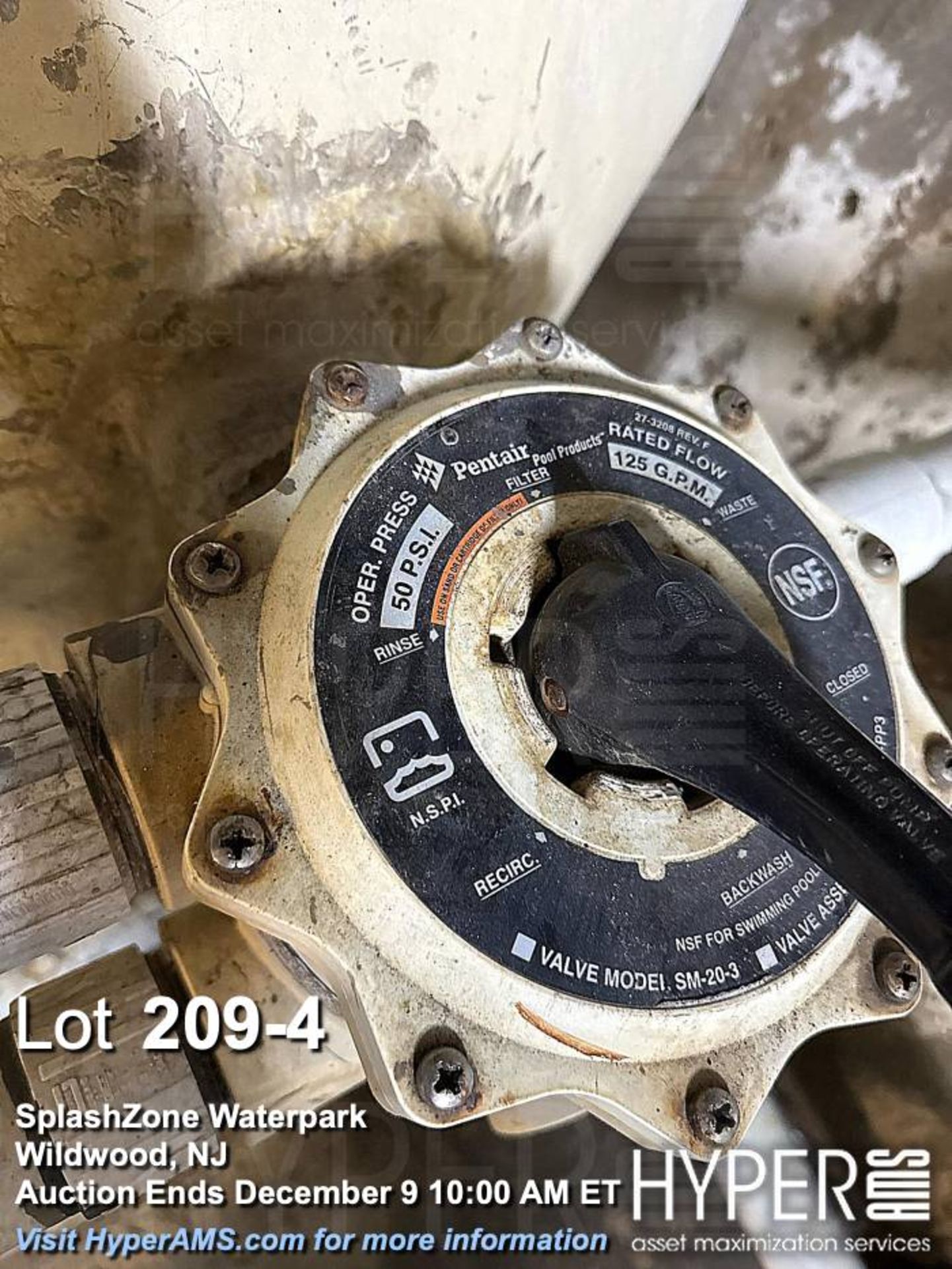 (2) Pentair Triton II Sand Filter, 125 GPM, 50 PSI, Valve Model SM-20-3 - Image 4 of 6