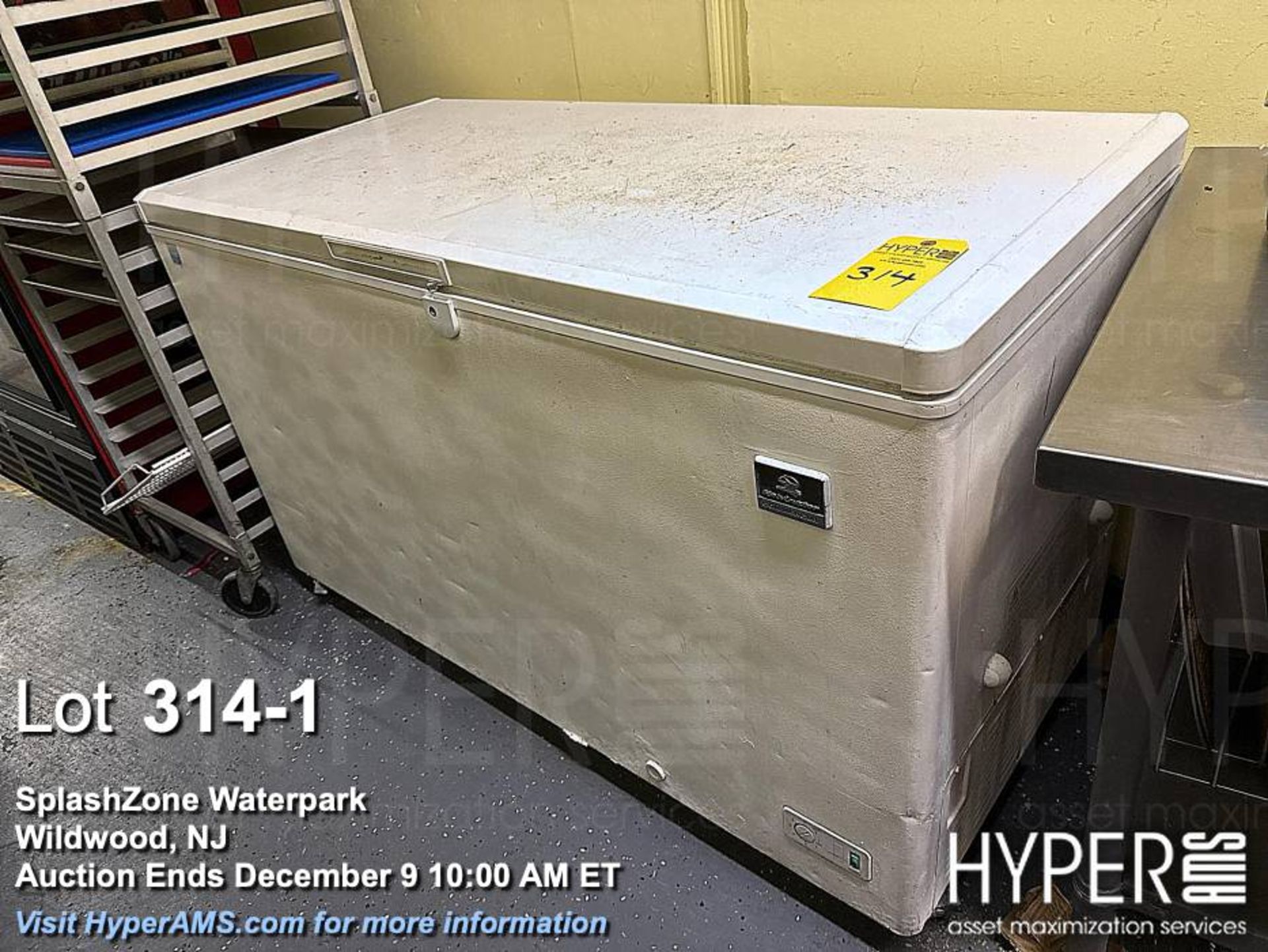 Kelvinator Commercial Chest Freezer, 19.4 cu ft, Manual Defrost