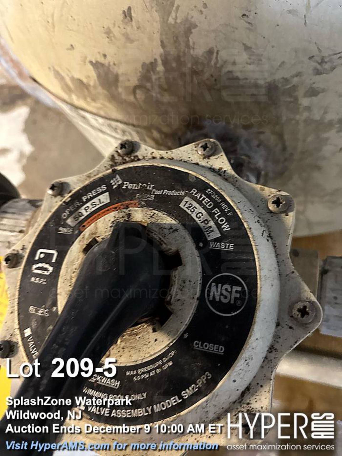 (2) Pentair Triton II Sand Filter, 125 GPM, 50 PSI, Valve Model SM-20-3 - Image 5 of 6