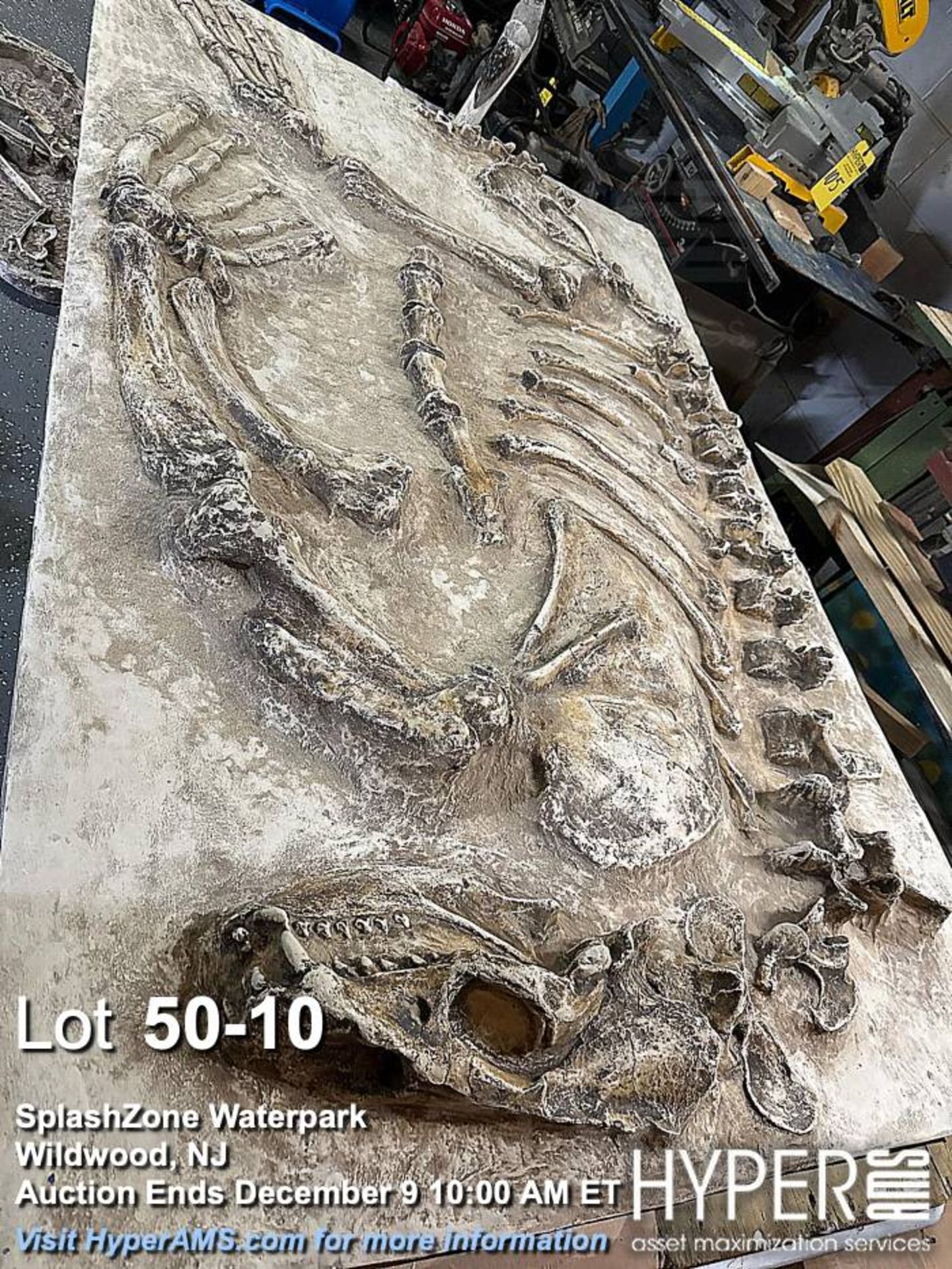 "Dino-Dig" dinosaur bone excavation attraction - Image 10 of 16