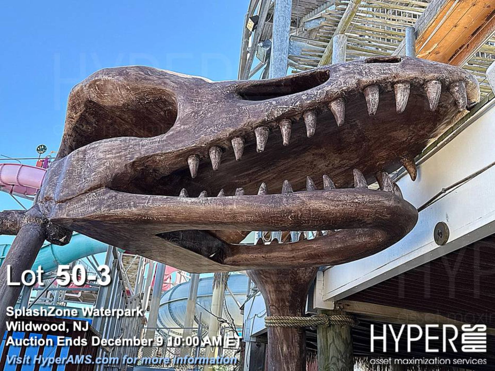 "Dino-Dig" dinosaur bone excavation attraction - Image 3 of 16