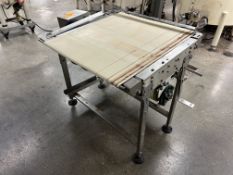 SS Jump Conveyor 33 Inches Long x 31.5 Inches Wide White Flannel Belt, Motor and Drive