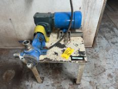 Viking Chocolate Pump Gear drive, Discharge Viking Pump, 2 hp motor 246