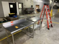 Ladder and (2) SS Tables (1) Werner 6 Foot Fiberglass Step Ladder; (1) 44 x 27 x 35 in., Backsplash,
