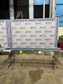 PORTABLE S/S CONVEYOR