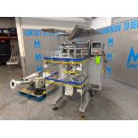 ILAPAK VERTICAL FORM FILL & SEAL MACHINE (VFFS) with All Fill Auger Filler