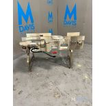 BOSTON CONVEYOR AND AUTOMATION CONVEYOR, APPROX. 50 IN. L X 13 IN. W, WITH WESTINGHOUSE TECO ALL S/S