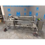 Automation Services S/S Auger Conveyor