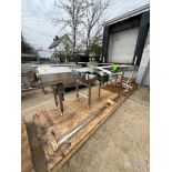 NEW BOSTON CONVEYOR AND AUTOMOTION S/S CONVEYOR WITH SWITCH, APPROX. 203 IN. L X 30 IN. W (INVENTO