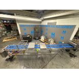 Precision PMD Tray Denester / Conveyor System