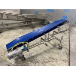 PORTABLE S/S INCLINE BAKERY CONVEYOR