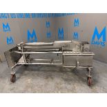 Automation Services S/S Auger Conveyor