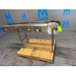 S/S CONVEYOR SECTION