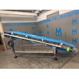 CCS / SMALLEY INCLINED S/S BELT CONVEYOR