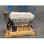 S/S CONVEYOR SECTION