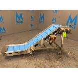 INCLINED S/S CONVEYOR