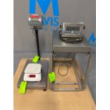 Lot of (3) Ohaus & Pennsylvania S/S Scales