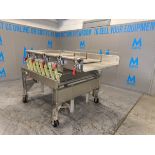 SMALLEY S/S VIBRATORY SHAKER