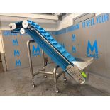 INCLINED S/S BELT CONVEYOR