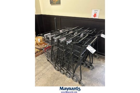 (5) shopping carts