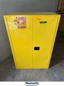 VWR 45 Gallon Flammable Liquid Storage Cabinet (43" W x 18" D x 65" High)
