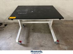 Mobile Table (4' W x 3' D x 31" High)
