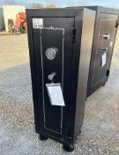 14 Gun Safe