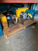 Pallet w/ (4) Hydra-Cell Positive Displacement Pumps, D03XKSGHFECA, w/ Motors