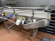 Laughlin Stainless Steel Infeed Pack Table, approx 6' Overall Length X 18 1/2" Wide | Rig Fee $75