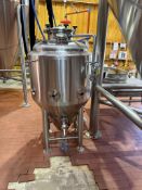 3 BBL Stainless Steel Fermenter, Glycol Jacketed, Cone Bottom, 4 Stainless Steel Le | Rig Fee $175