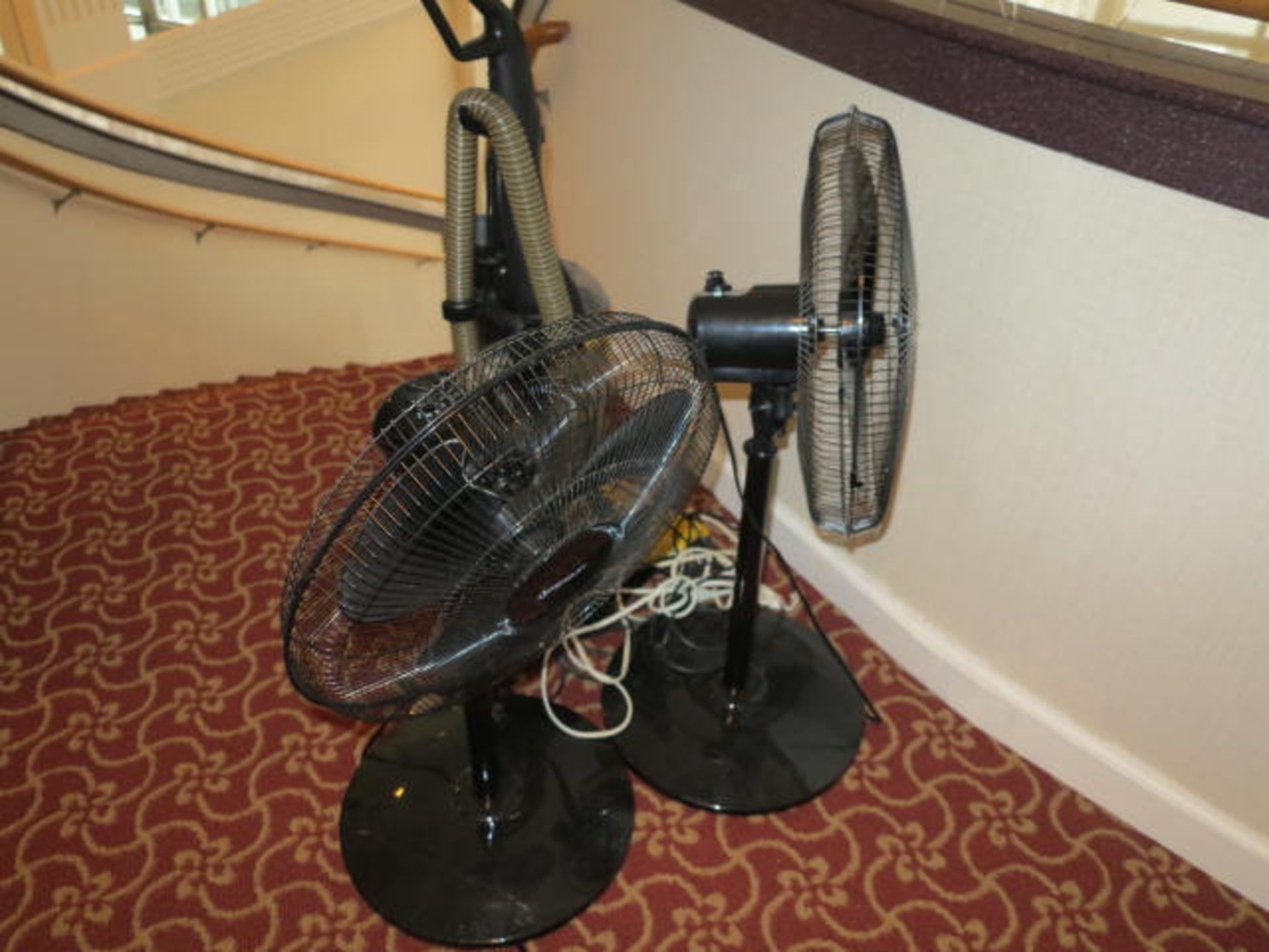 Lots Fans Lot Fans