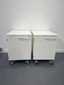 Set of 2 Storage Cabinets (450 x 550 x 650mm ), SN: NA