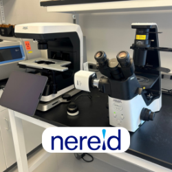 Nereid Therapeutics