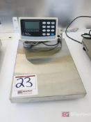 Arlyn 16" x 12" 100-Lb Cap. Digital Platform Scale