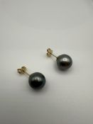 Tahitian Pearl Stud Earring 10mm Tahitian Pearl Stud Earring 10mm