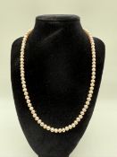 14ky 5.3-5.6 Pearl Necklace (90 Pearls) 14ky 5.3-5.6 Pearl Necklace (90 Pearls)