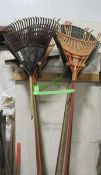 (12) Asst. Lawn Rakes