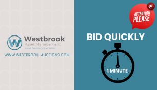 BID QUICKLY, LOTS WILL BE ENDING EVERY MINUTE AT THIS AUCTION