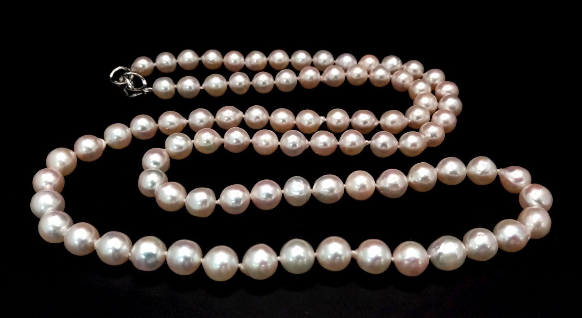 The name that says everything! A new/unused AKOYA pearl necklace with a single strand of perfectly - Bild 7 aus 9