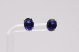 Oval Shape Sapphire Blue 6.7 Carat Earrings 18K White Gold