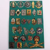 French Military Regimental Badges