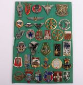 French Military Regimental Badges