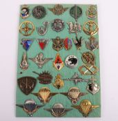 French Military Parachute/ Marine Unit Badges