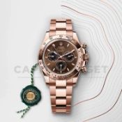 "ON SALE" ROLEX COSMOGRAPH DAYTONA *18CT EVEROSE GOLD* (SEPTEMBER 2025 - ALL NEW / UNWORN) 40MM